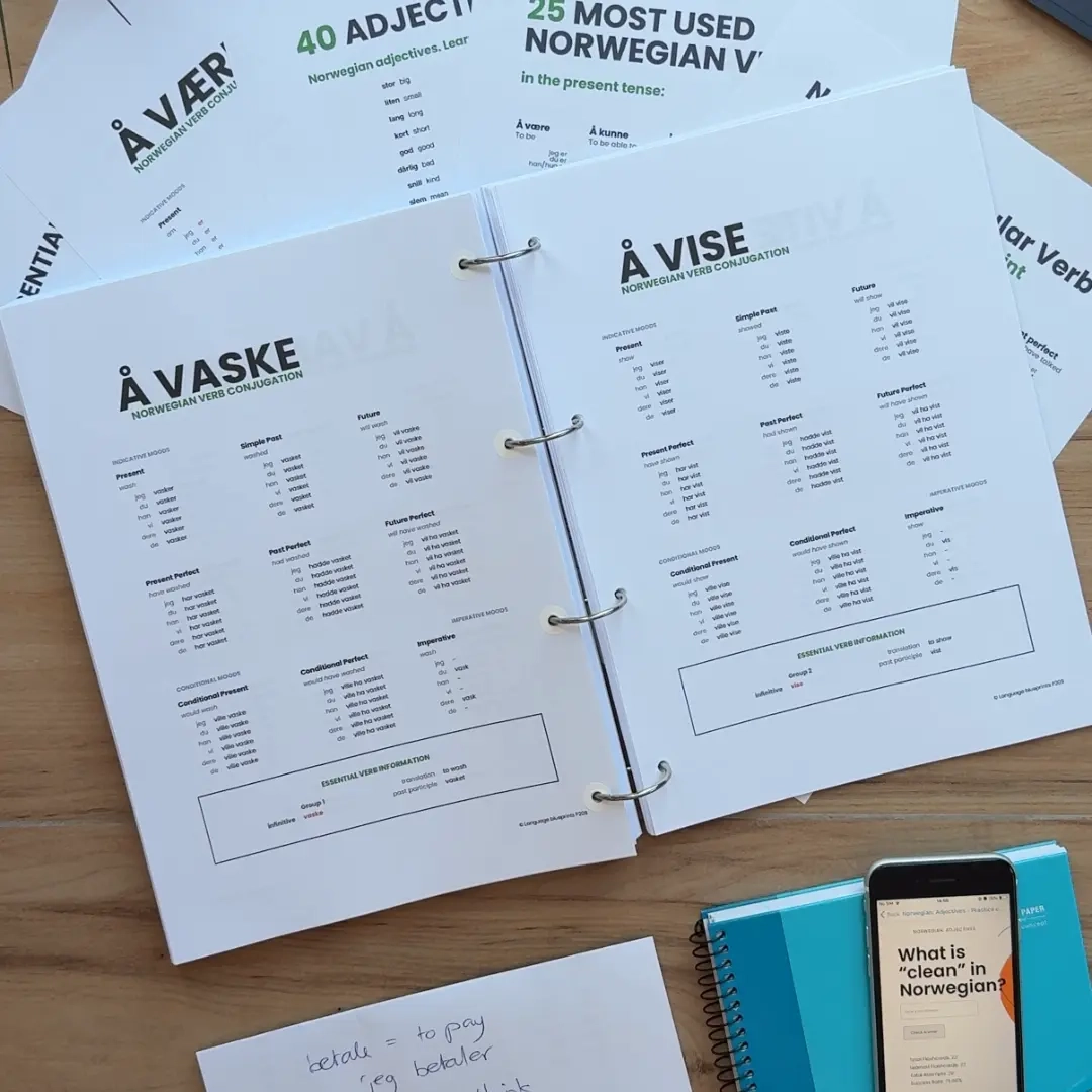 Norwegian Grammar Worksheets