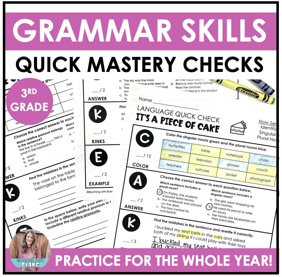 3rd Grade Grammar Practice Worksheets And Assessments Made By Teachers