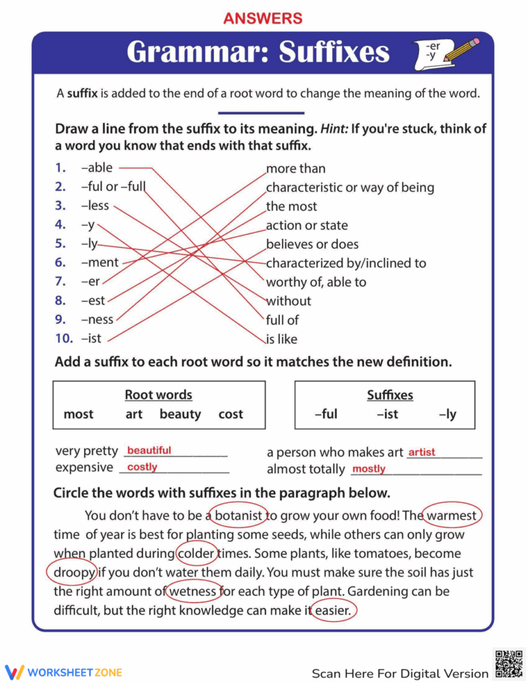 Advanced Grammar Suffixes Practice Worksheet Worksheet