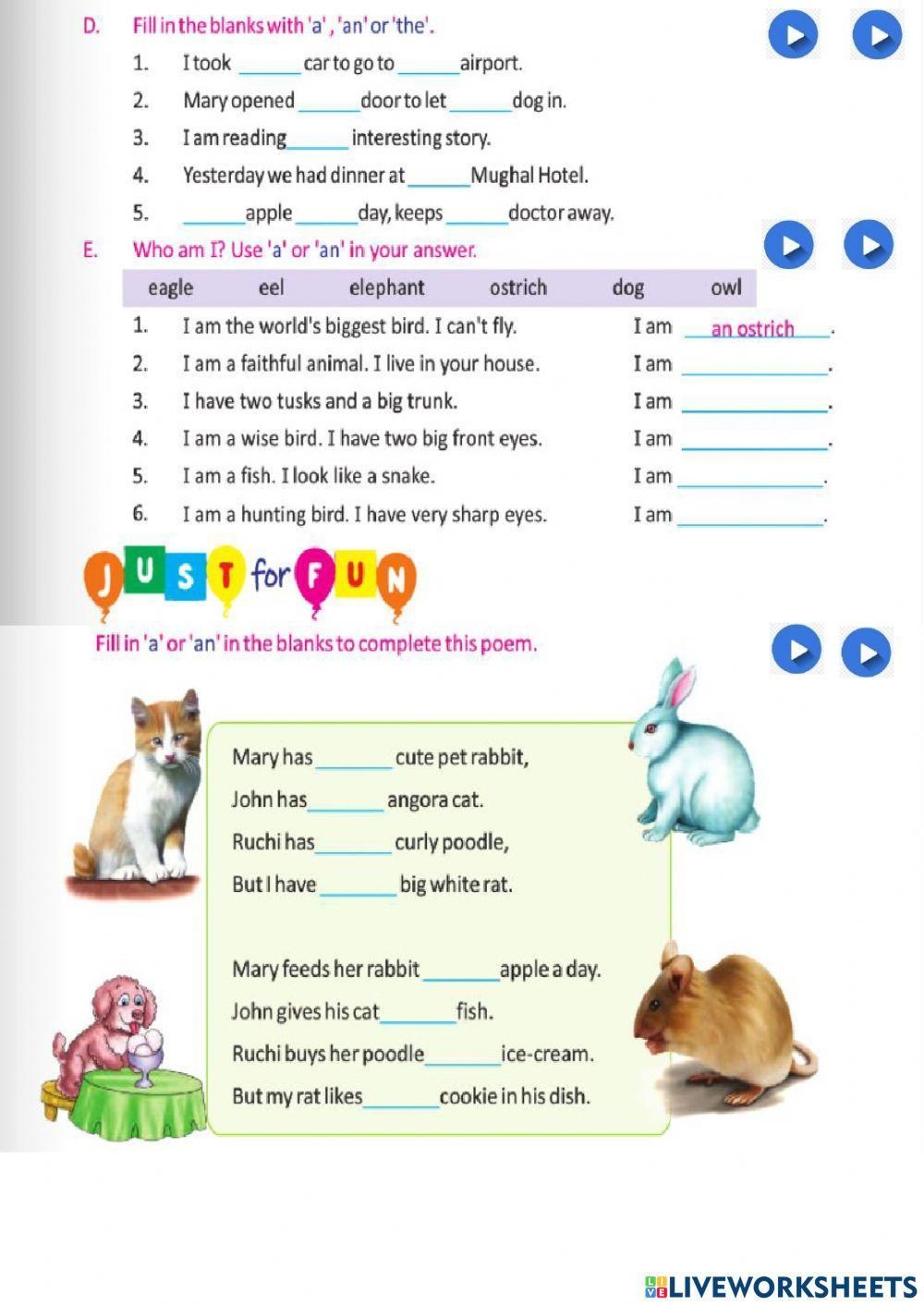 Articles Grammar Worksheets For Grade 3