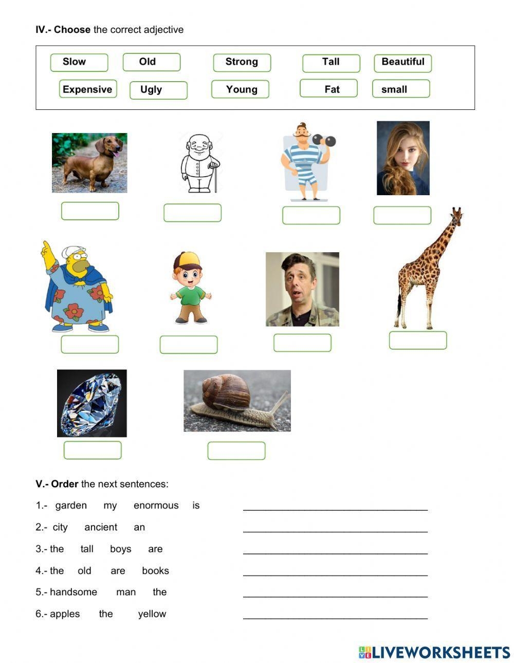 Learn English Grammar Worksheets