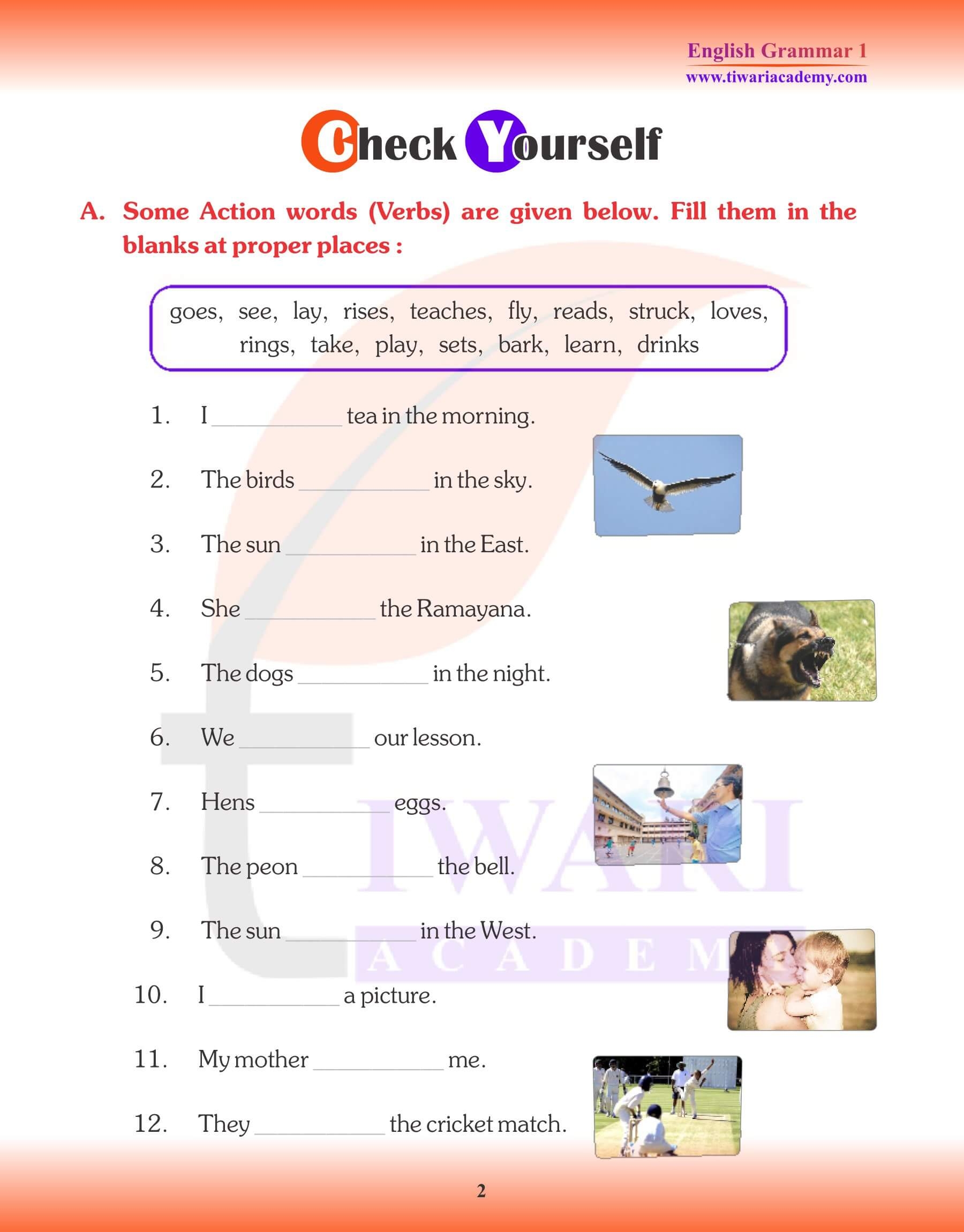 Class 1st English Grammar Worksheet Class 1st English Grammar Worksheet