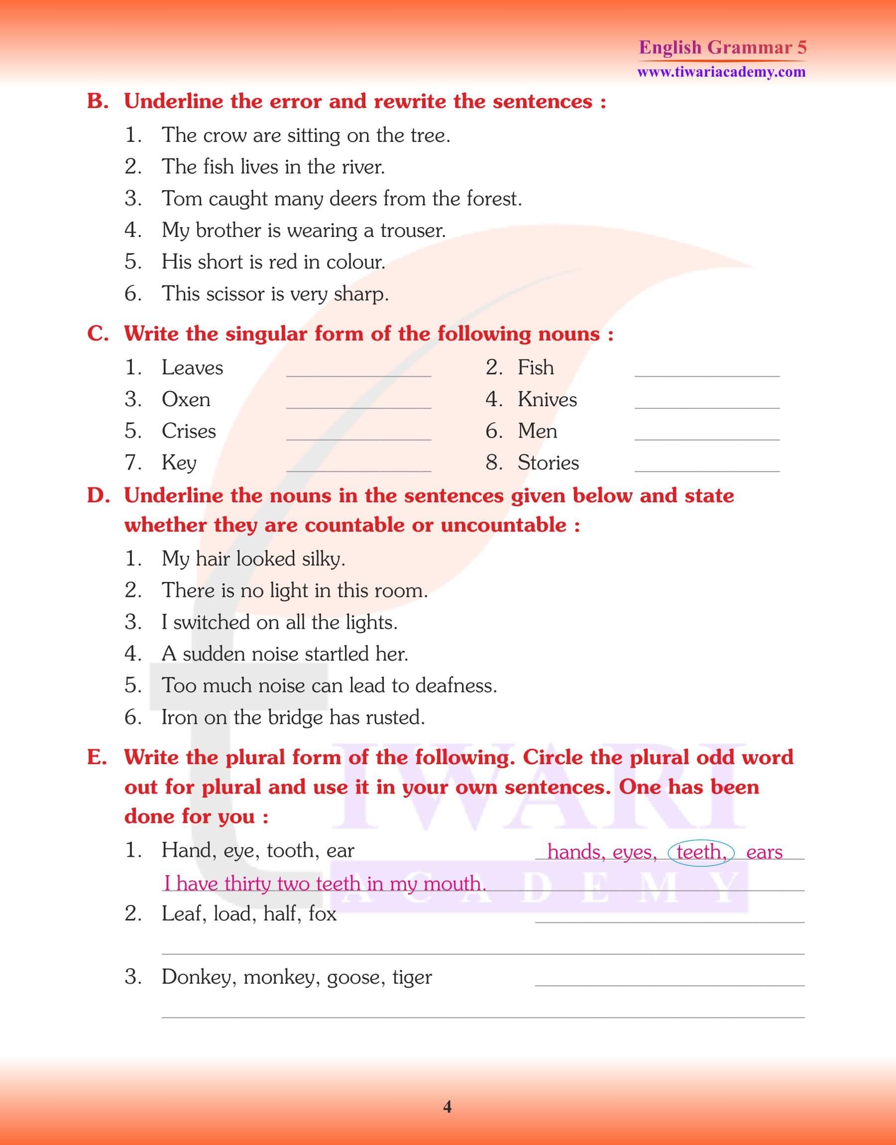 5th Grade Grammar Noun Worksheets