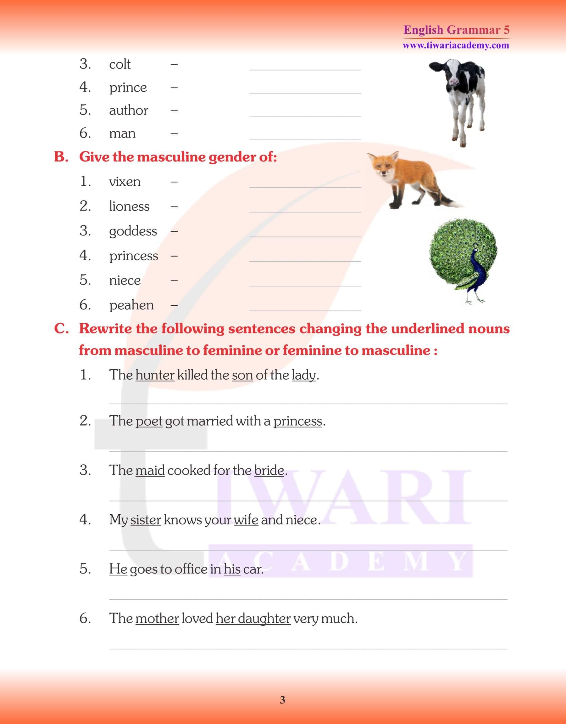 5th Grade Worksheets For Grammar Gender
