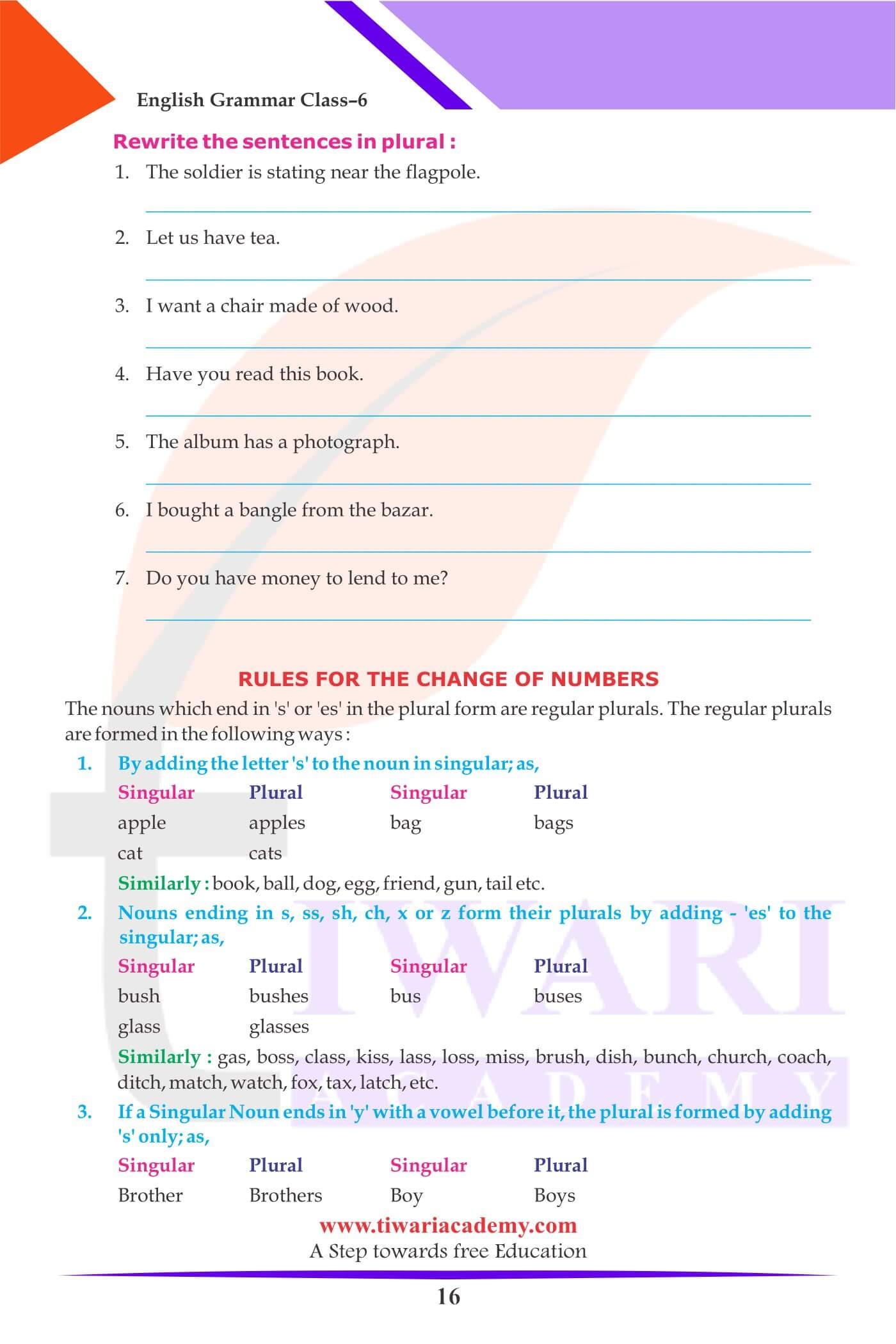 Class 6 English Grammar Noun Worksheet