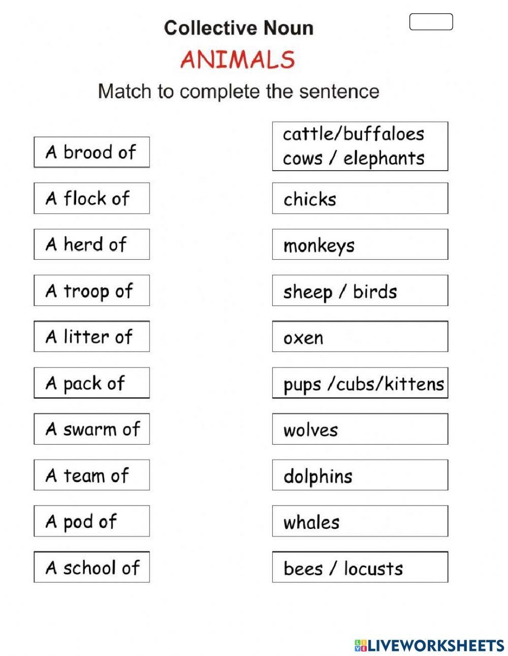 COLLECTIVE NOUN Free Interactive Worksheets 5110154