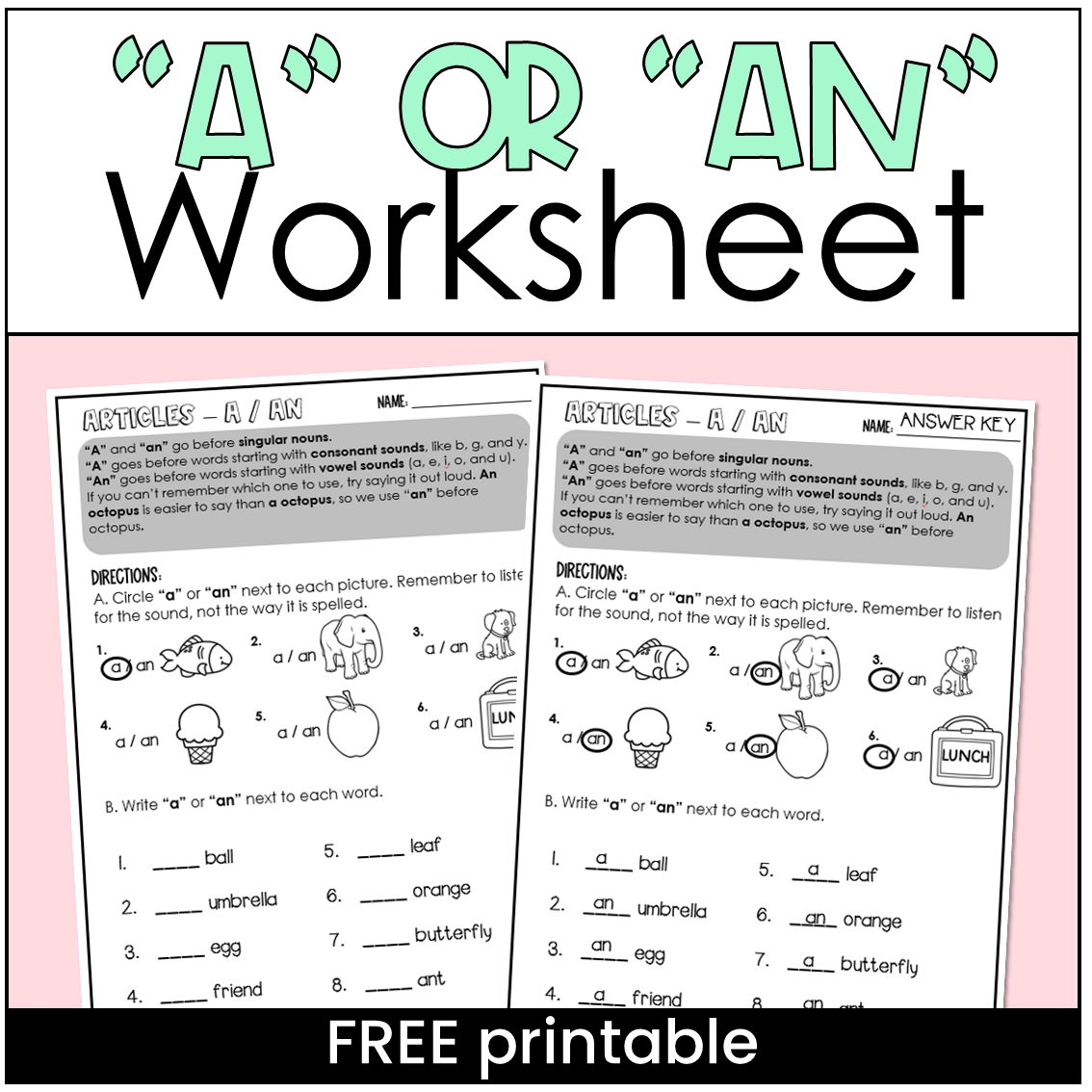 FREE Articles A Or An Worksheet FREE Articles A Or An Worksheet