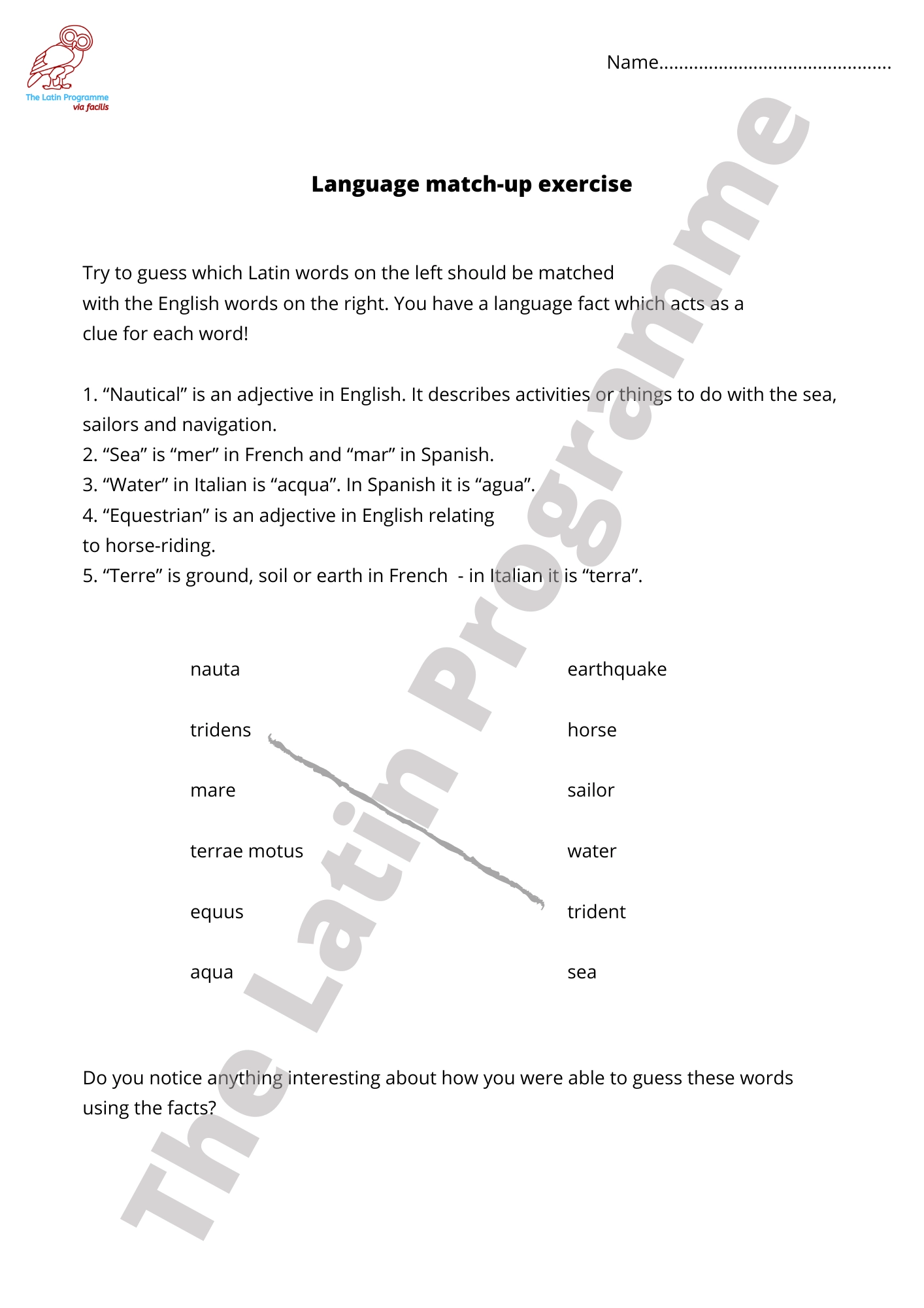Latin Grammar Worksheets