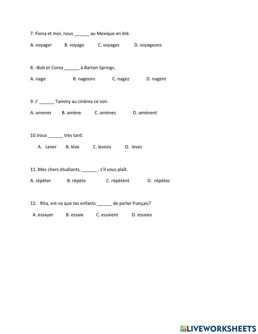 French Grammar Worksheets Pdf