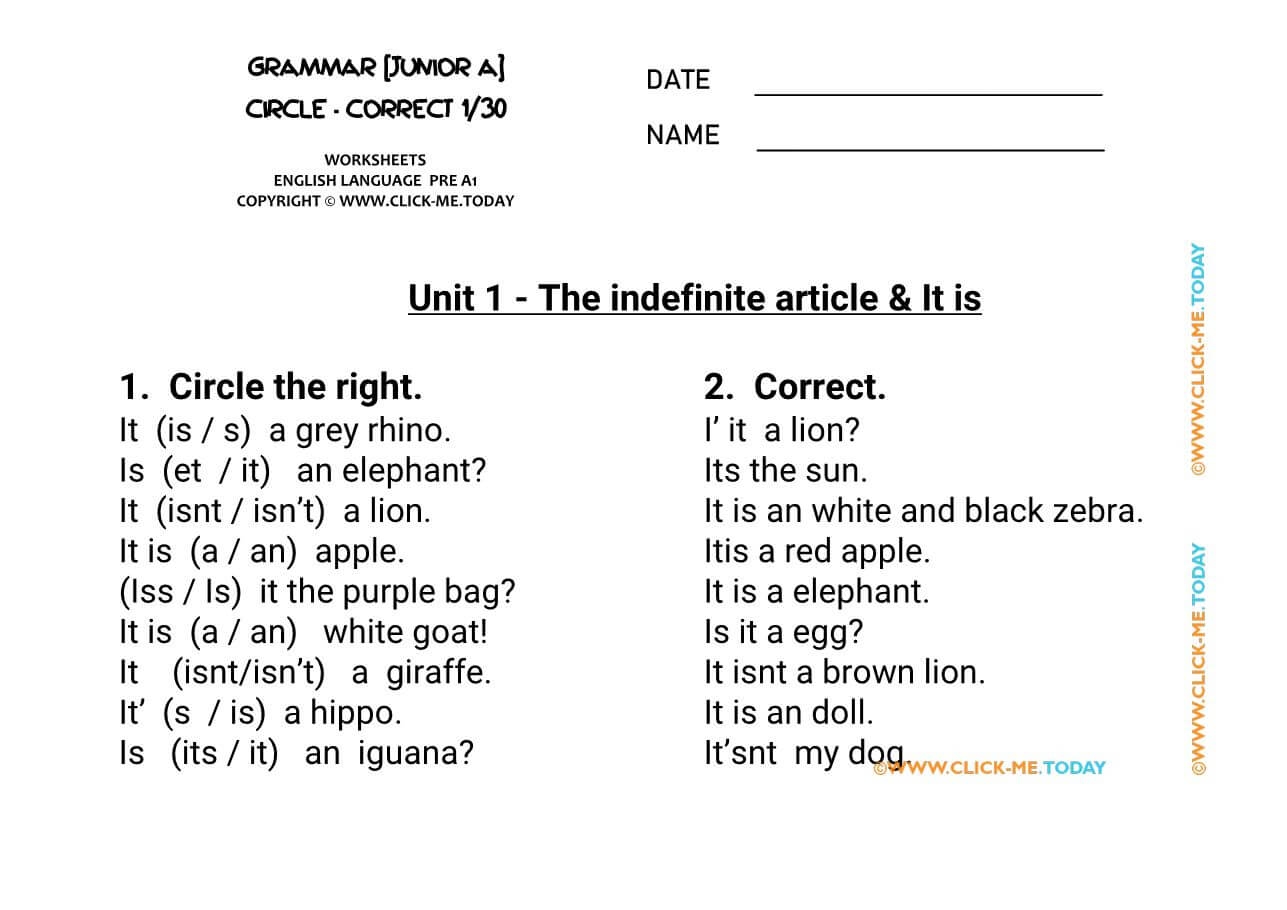 GRAMMAR EXERCISES CIRCLE CORRECT Indefinite Article U1 GRAMMAR EXERCISES CIRCLE CORRECT Indefinite Article U1