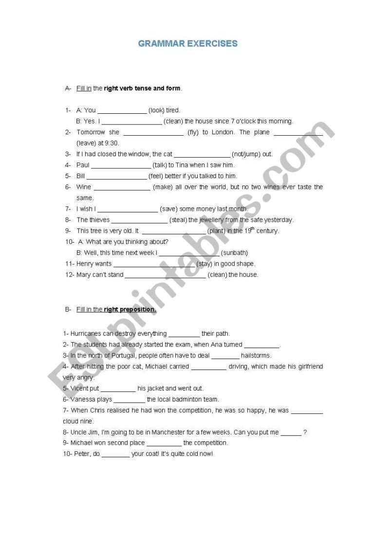 Grammar Exercises With Answer Key ESL Worksheet By Jungle