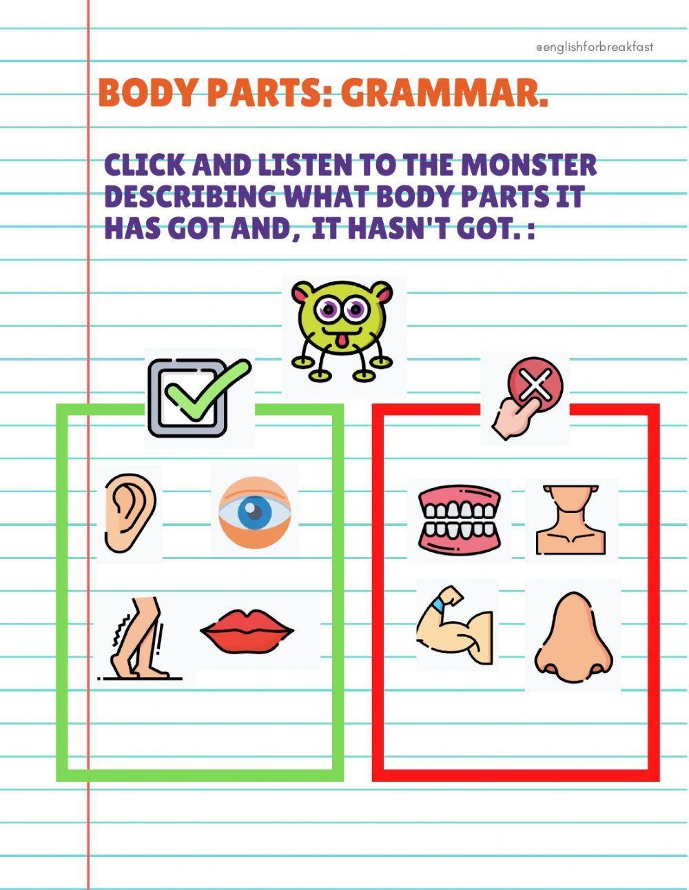 Have Has Grammar Worksheets Pdf