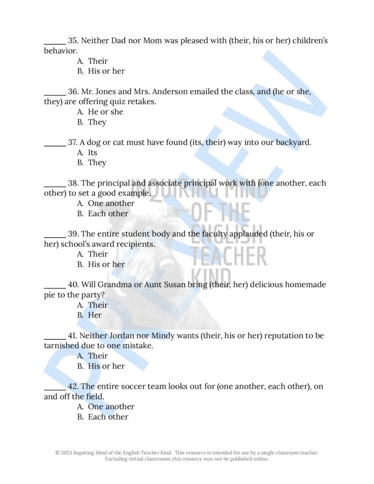 Grammar Practice Worksheet On Pronoun Antecedent Agreement Made By Teachers