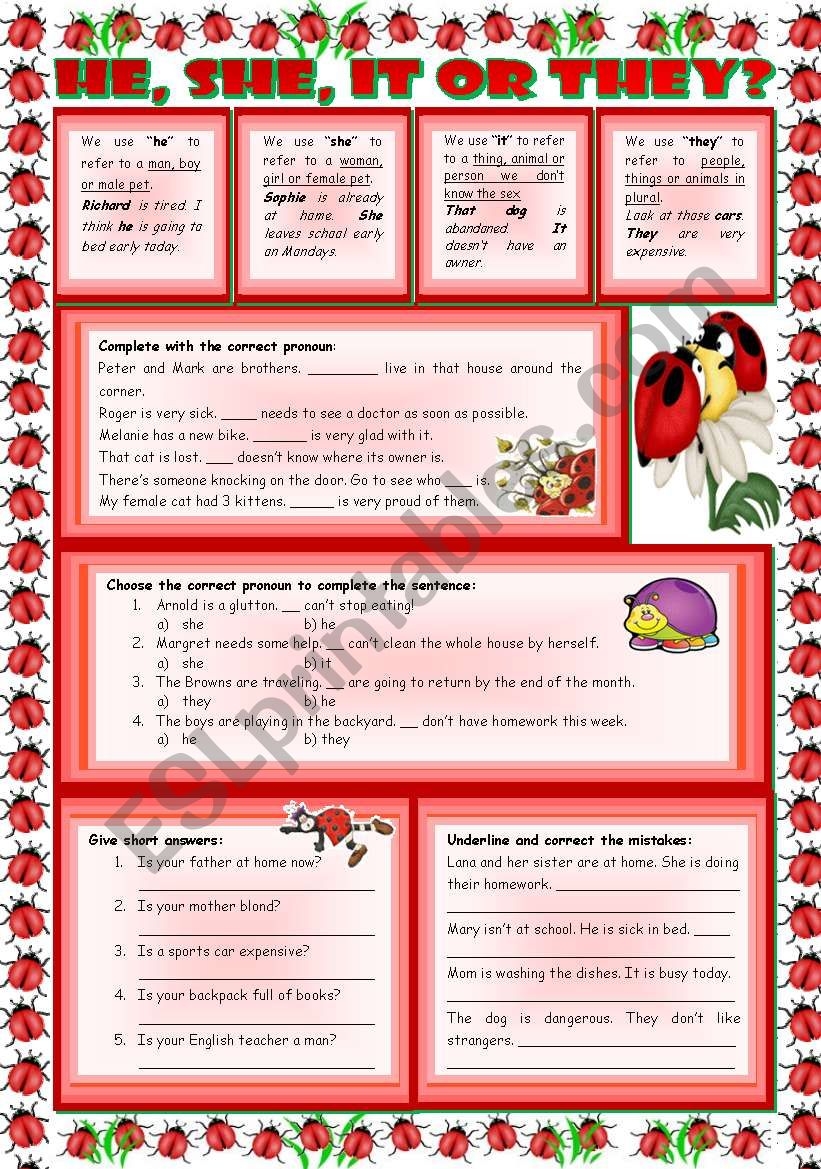 He She It Or They Rules Examples And Exercises Teacher s Handout With Keys Included 4 Tasks 2 Pages Editable ESL Worksheet By Zailda
