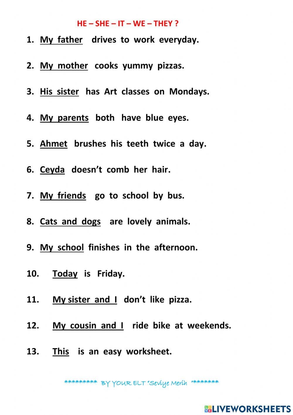 He She Grammar Worksheet