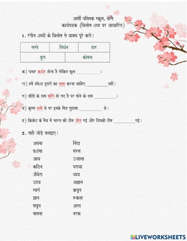 Hindi Vyakaran Free Interactive Worksheets 1740182