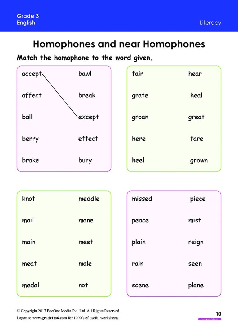 Homophones Worksheet For Grade 3 IB CBSE ICSE