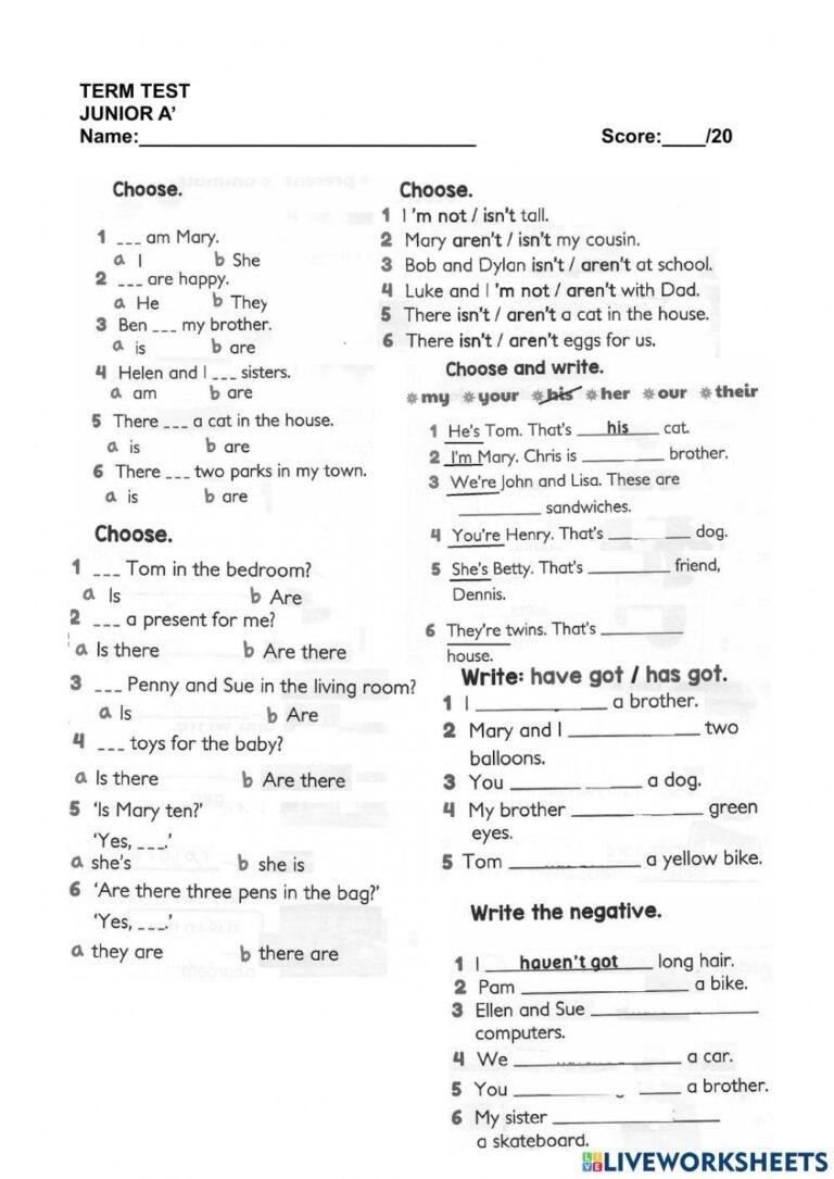 Junior A Term T Free Interactive Worksheets 1048093