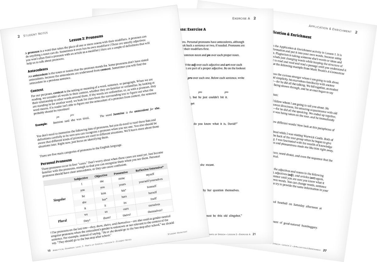Lesson Overview Analytical Grammar