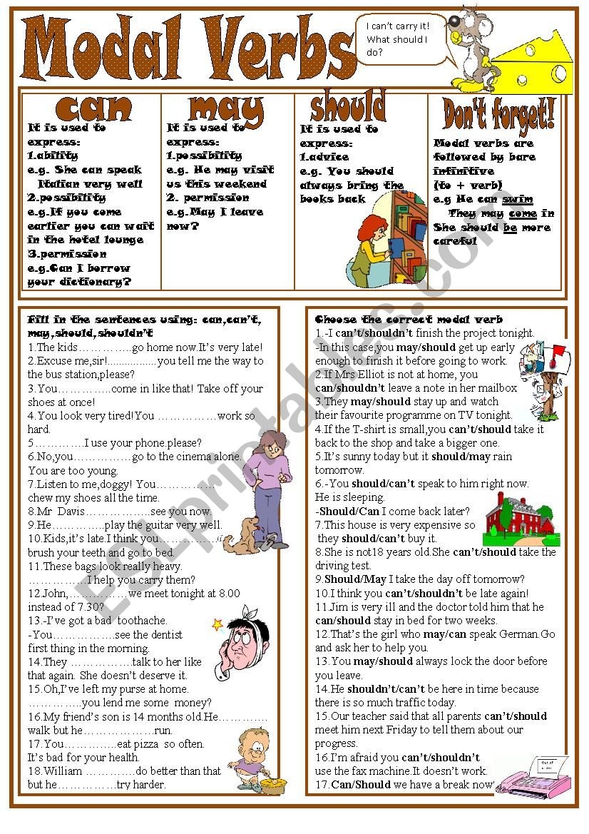 Can Vs May Grammar Worksheet