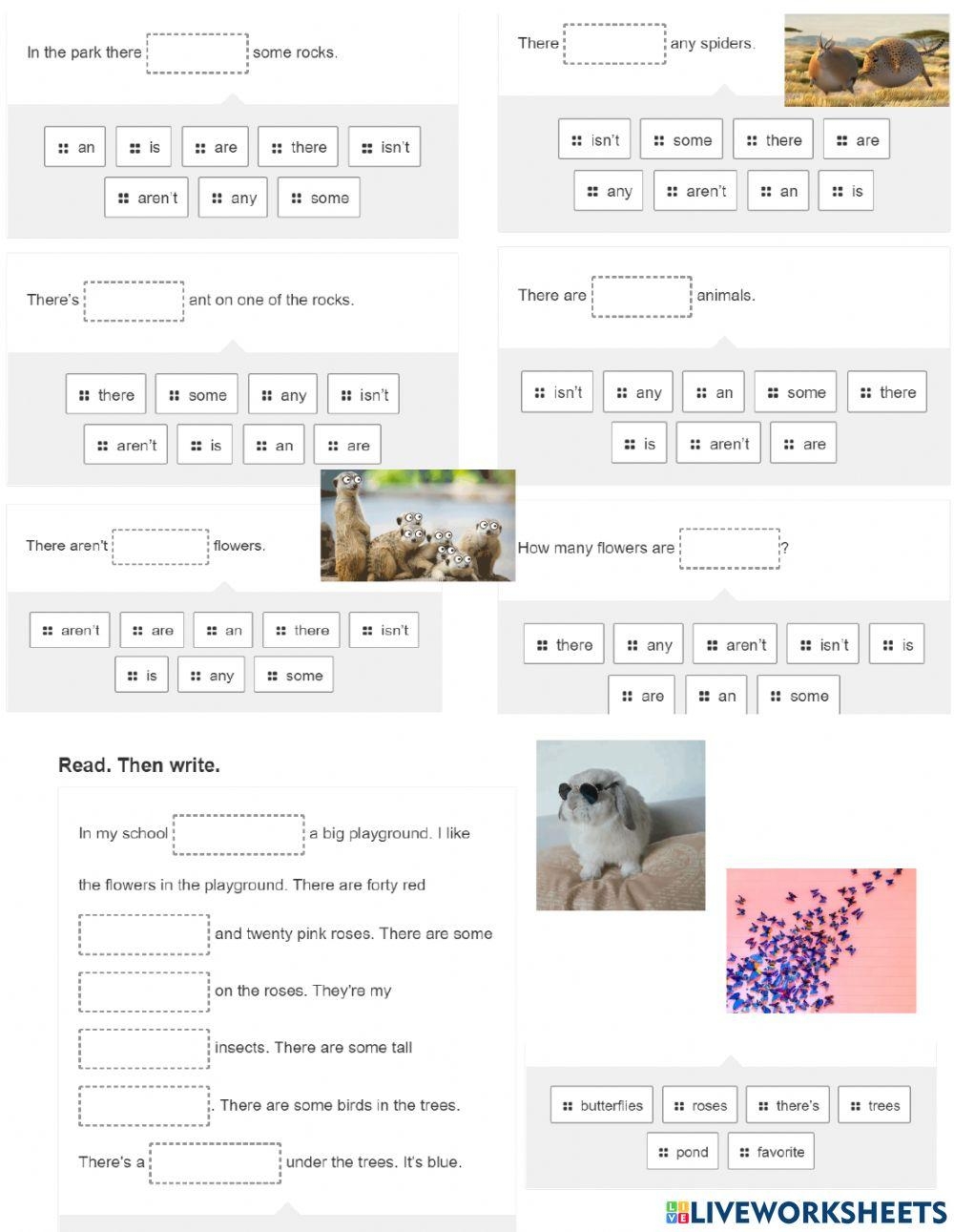 Nature Grammar Free Interactive Worksheets 1400519