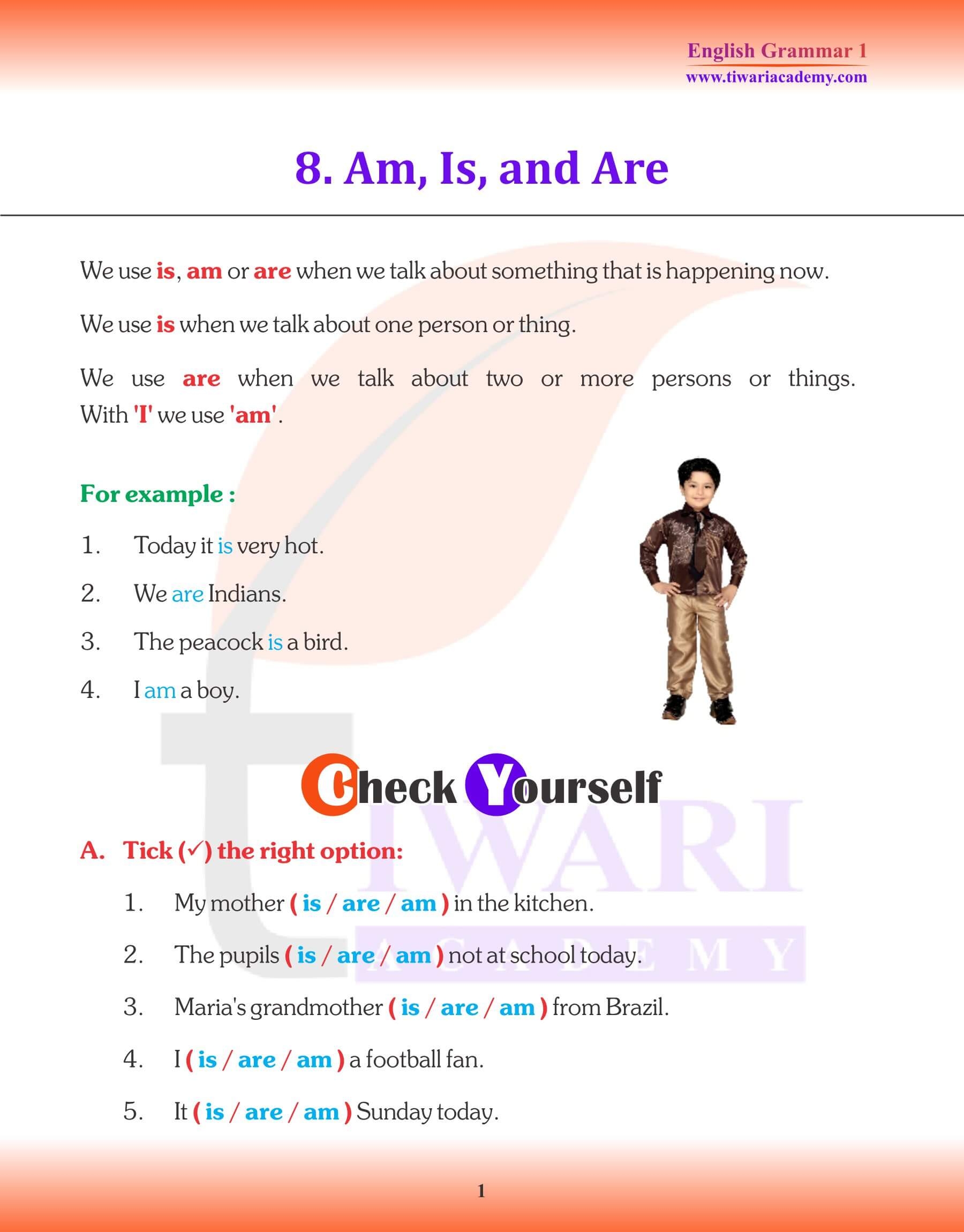 NCERT Solutions For Class 1 English Grammar Chapter 8 Am Is And Are 