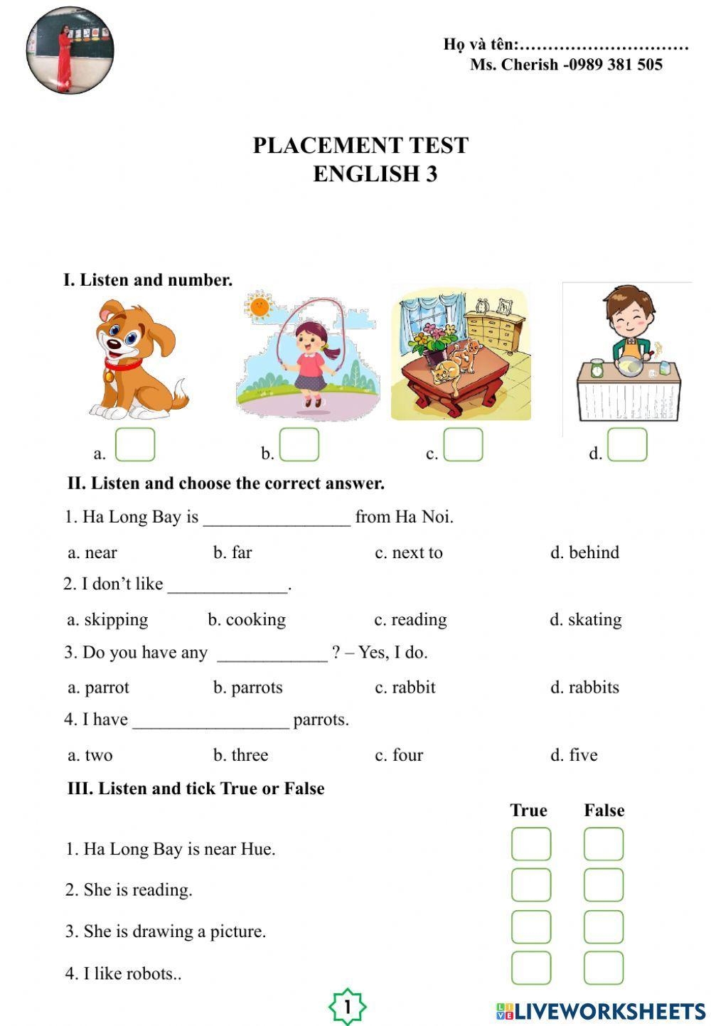 Placement Test Free Interactive Worksheets 1176701