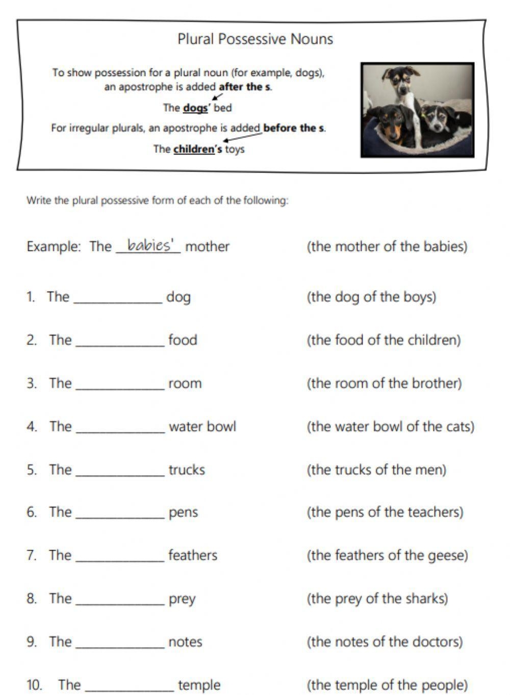 Plural Noun Pos Free Interactive Worksheets 431869