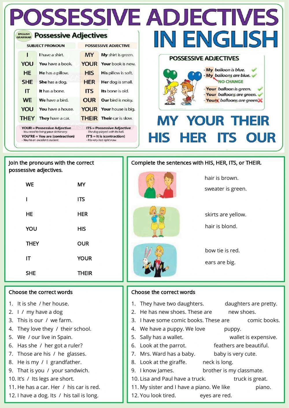 Possessive Adje Free Interactive Worksheets 619162 Possessive Adje Free Interactive Worksheets 619162