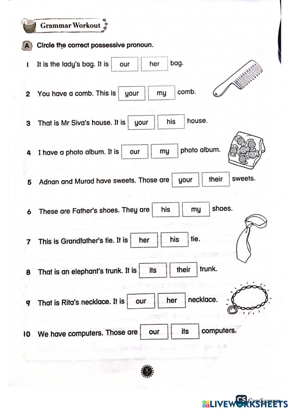 Grammar Possessive Pronouns Worksheets