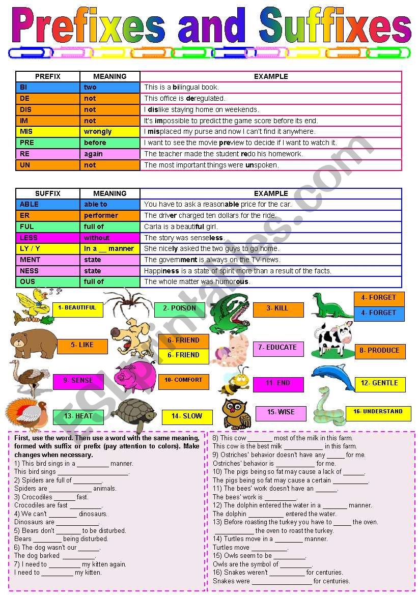 Grammar Suffixes Worksheet Grammar Suffixes Worksheet
