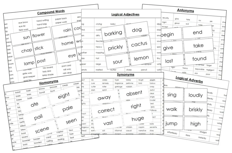 Primary Grammar Cards Montessori Print Shop