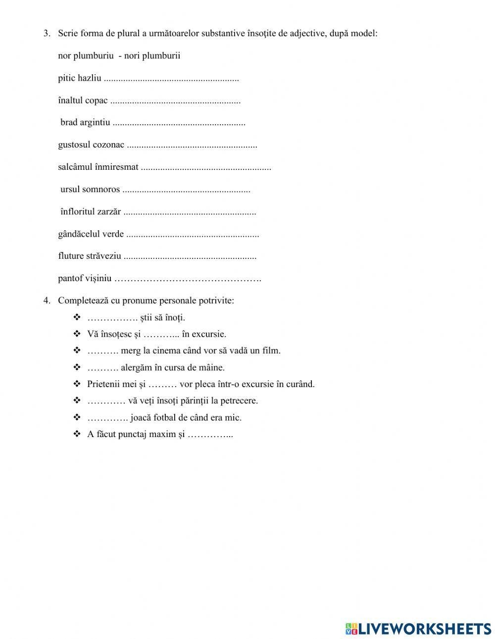 Romanian Grammar Worksheets