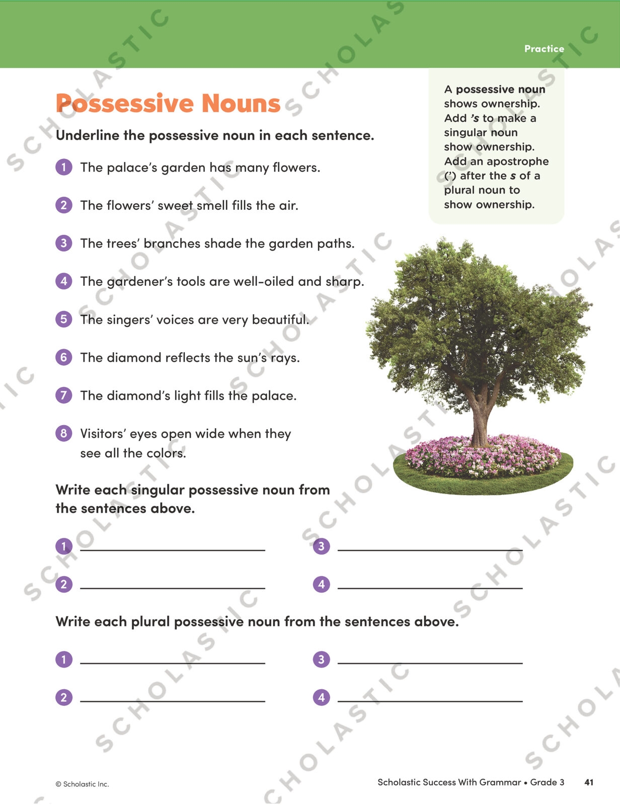 Scholastic Success With Grade 3 Grammar By Scholastic Teaching Resources The Scholastic Parent Store