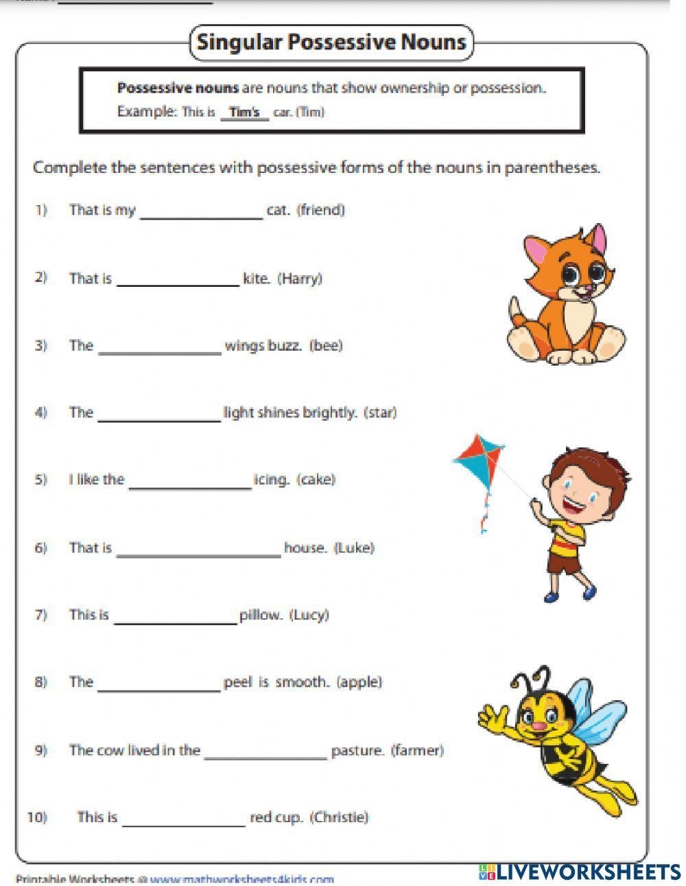 Grammar Possessive Nouns Worksheets