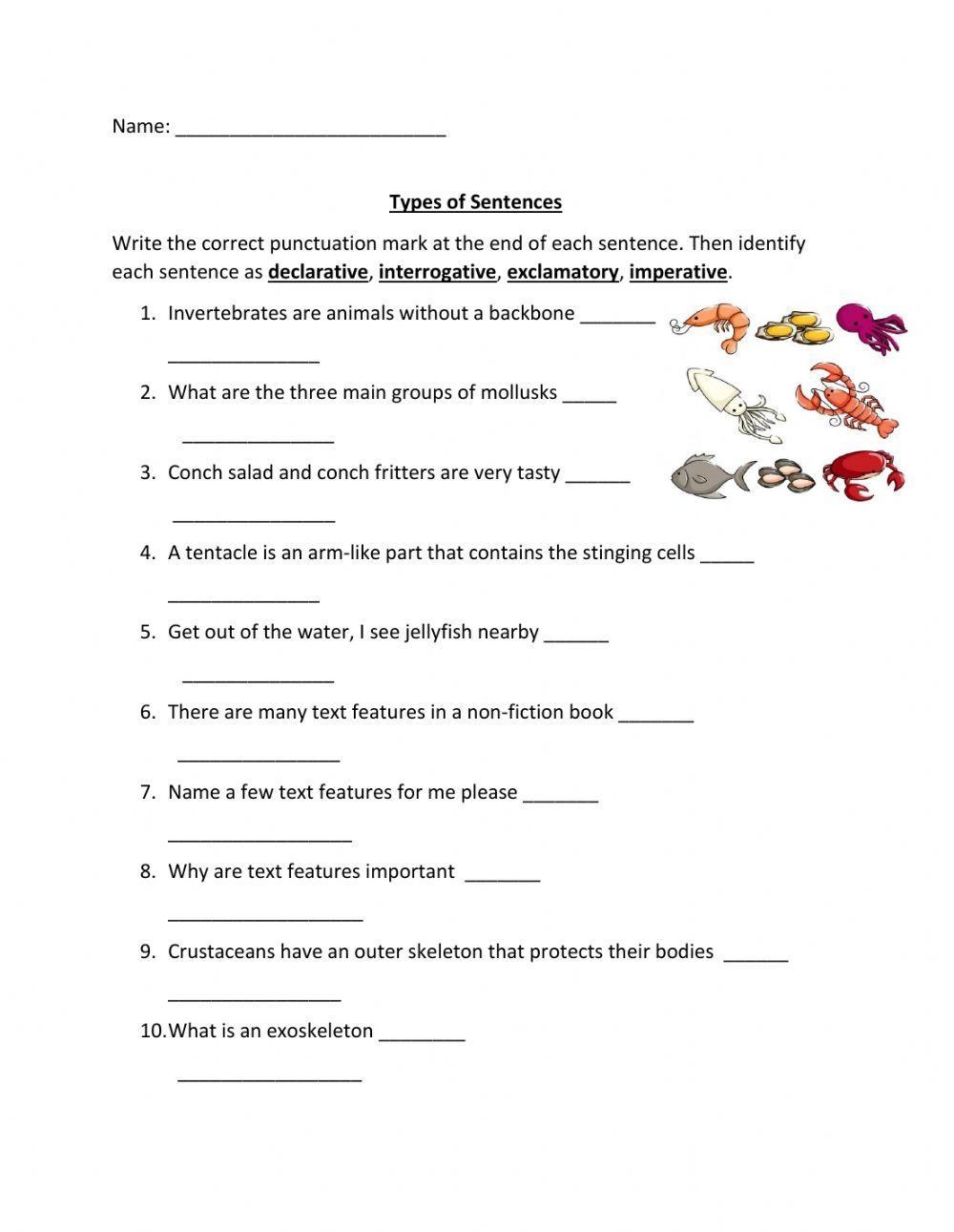 Types Of Senten Free Interactive Worksheets 446798