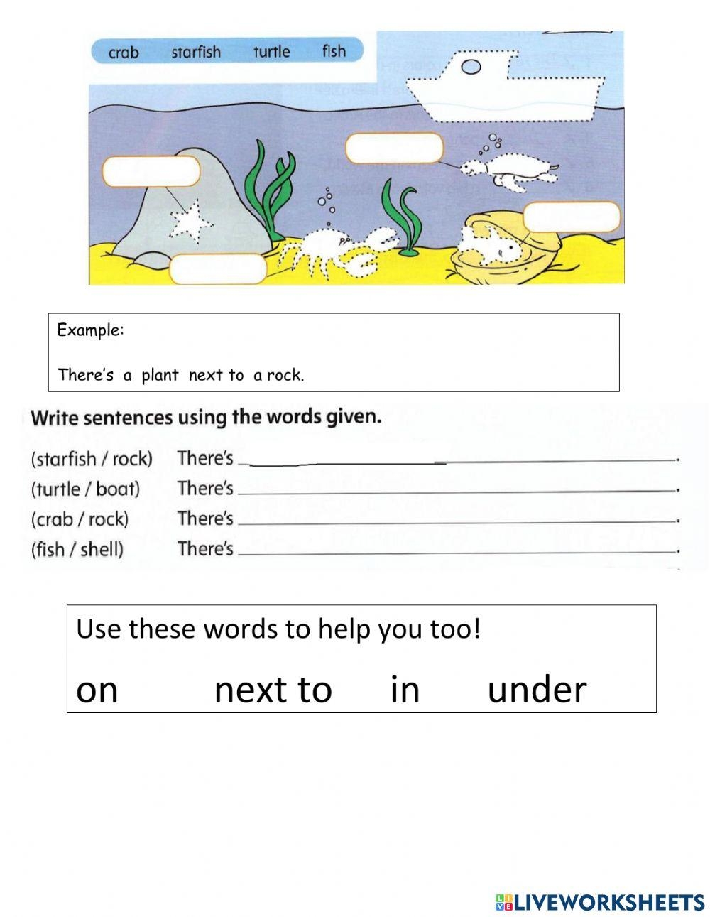Grammar Rocks Worksheet
