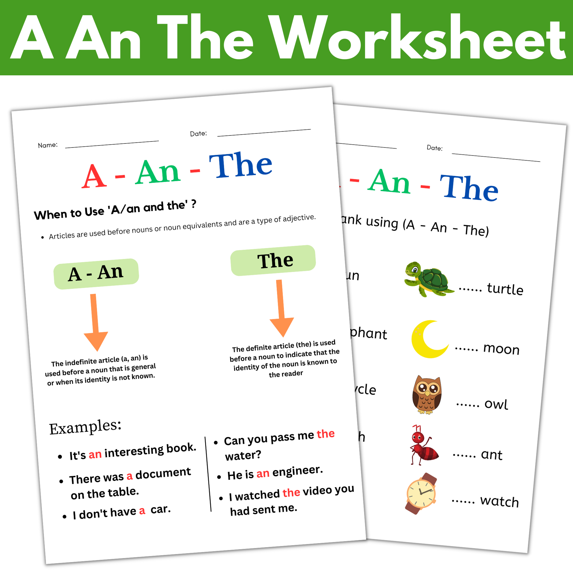 Articles Grammar Exercise Worksheet