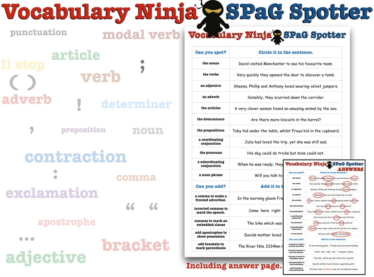 Grammar Ninja Worksheet