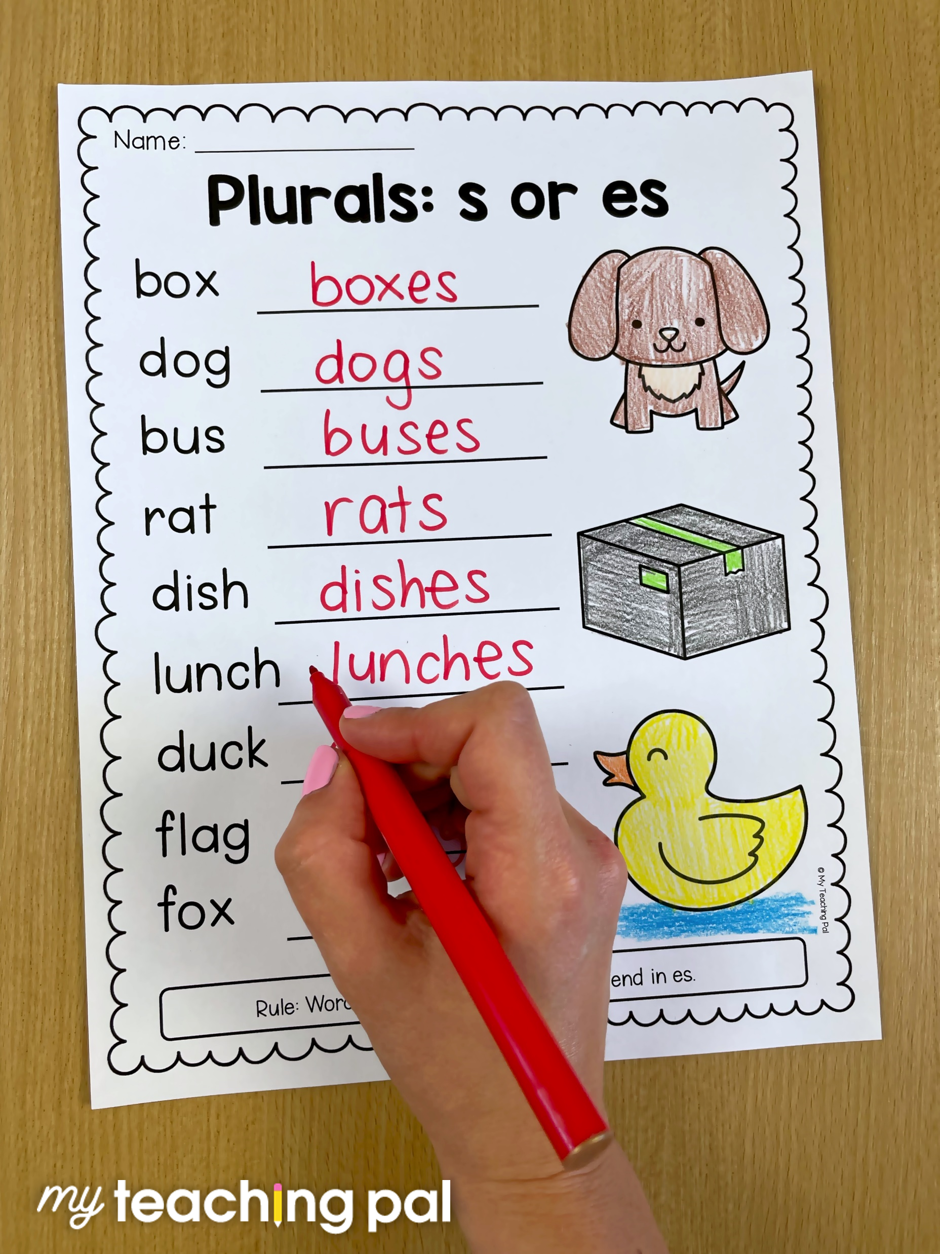 Which Kindergarten Grammar Skills Do You Need To Teach My Teaching Pal